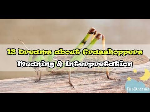 Dreaming of Grasshoppers – Menguraikan 53 Plot untuk Membantu Anda 