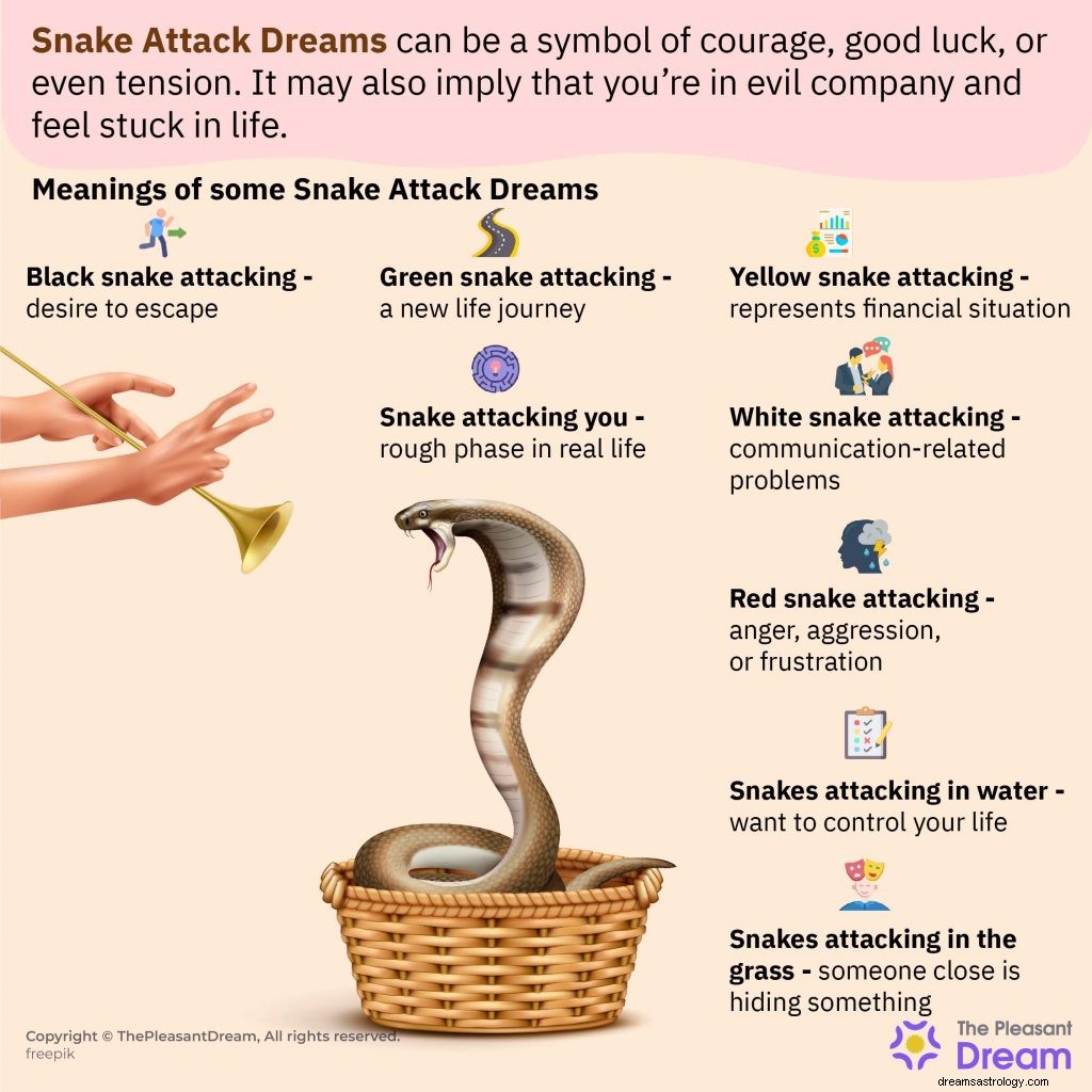Sind Sie mit einem Traum von einem Schlangenangriff aufgewacht? Hier ist, was es wirklich bedeutet! 