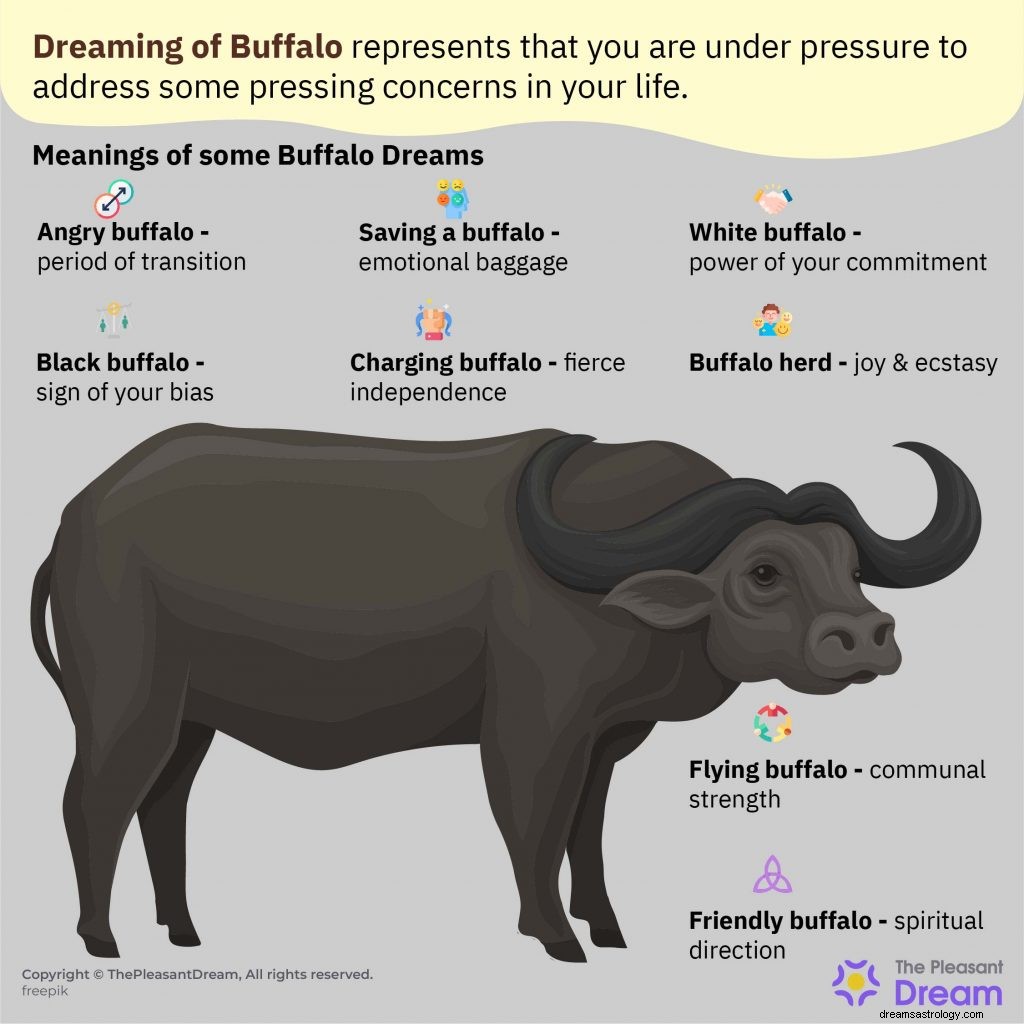 Έννοια του ονείρου Buffalo:87 πλοκές και ερμηνείες 