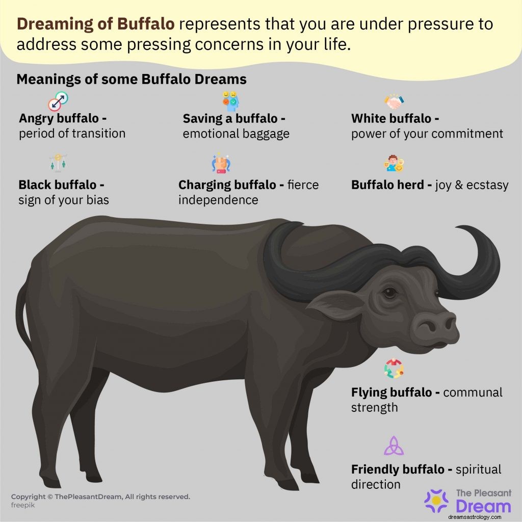 Buffalo Dream Betydelse:87 plotter och tolkningar 