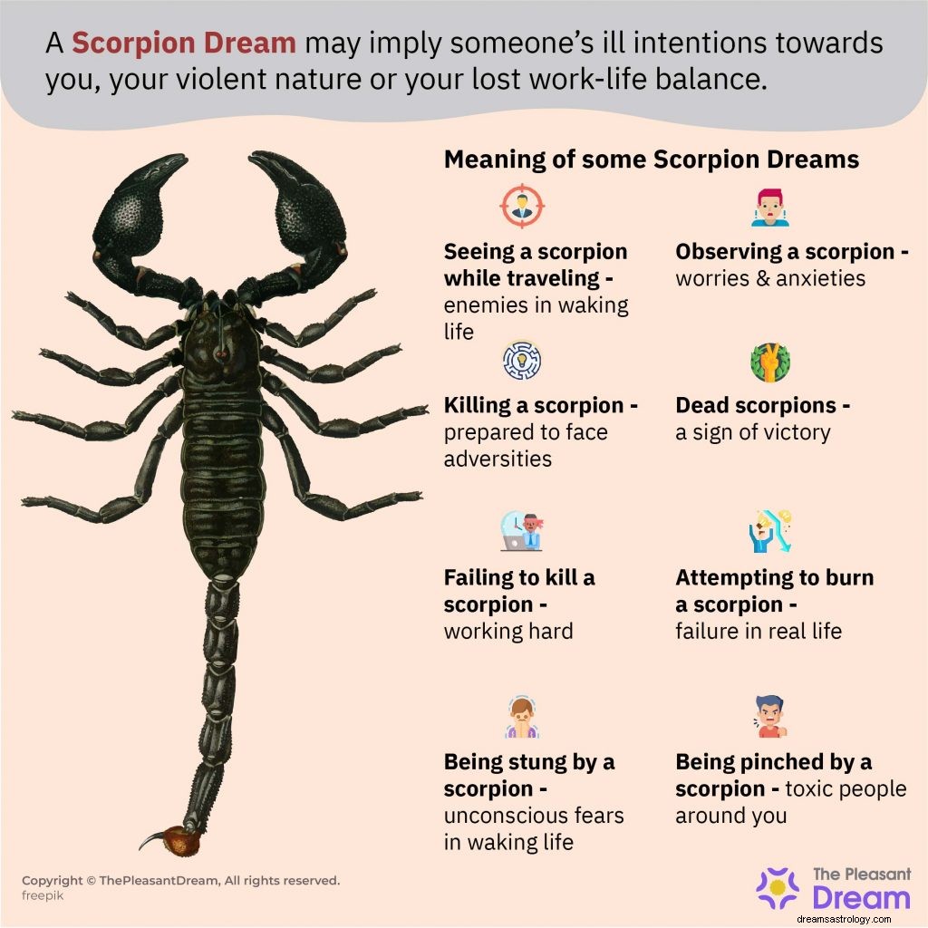 Soñando con un Escorpión – 75 Tipos y sus Interpretaciones 