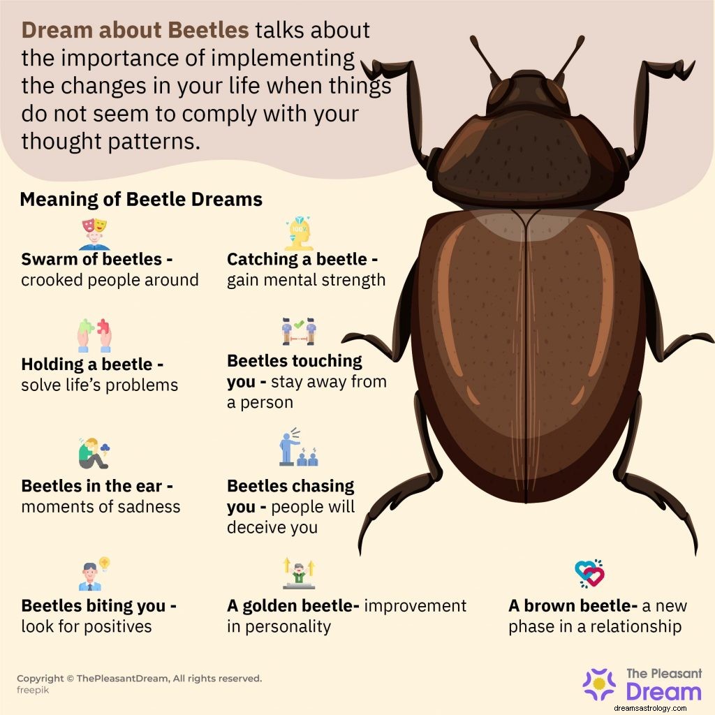 Dröm om skalbaggar – reda ut de här 51 handlingarna och betydelserna 