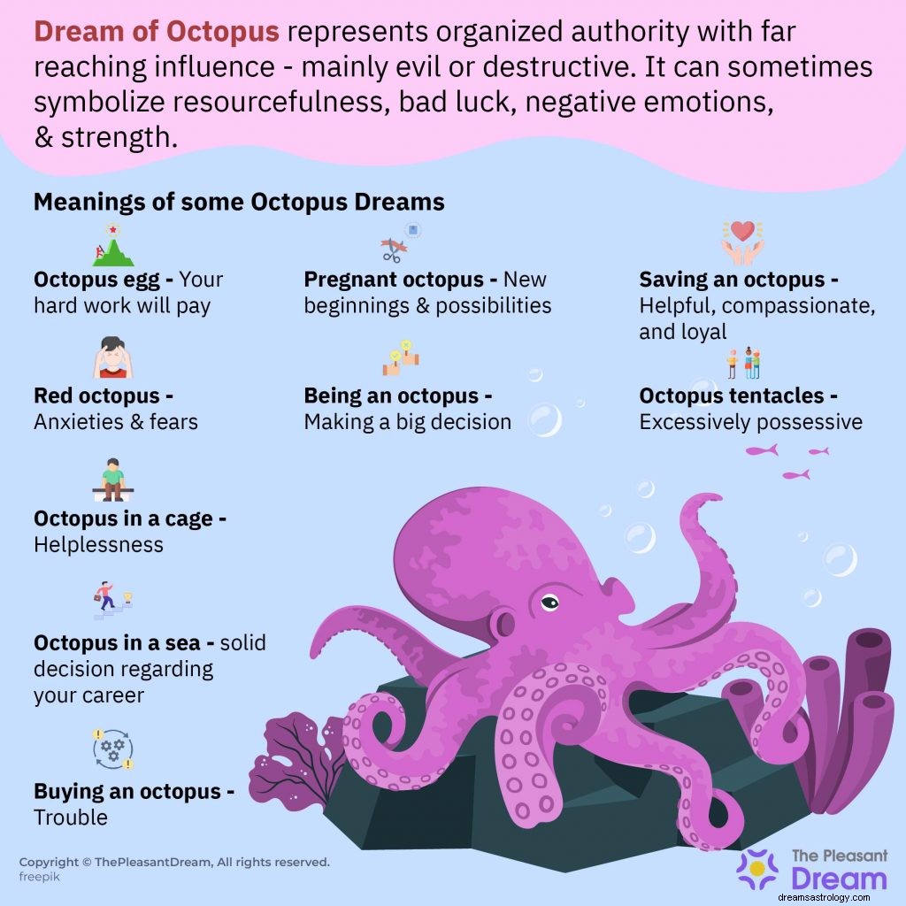 Octopus Dream Meaning – Utforska 60 scenarier 