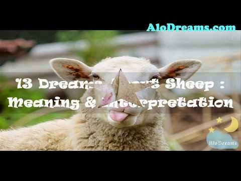 Sogna le pecore:60 tipi e significati 