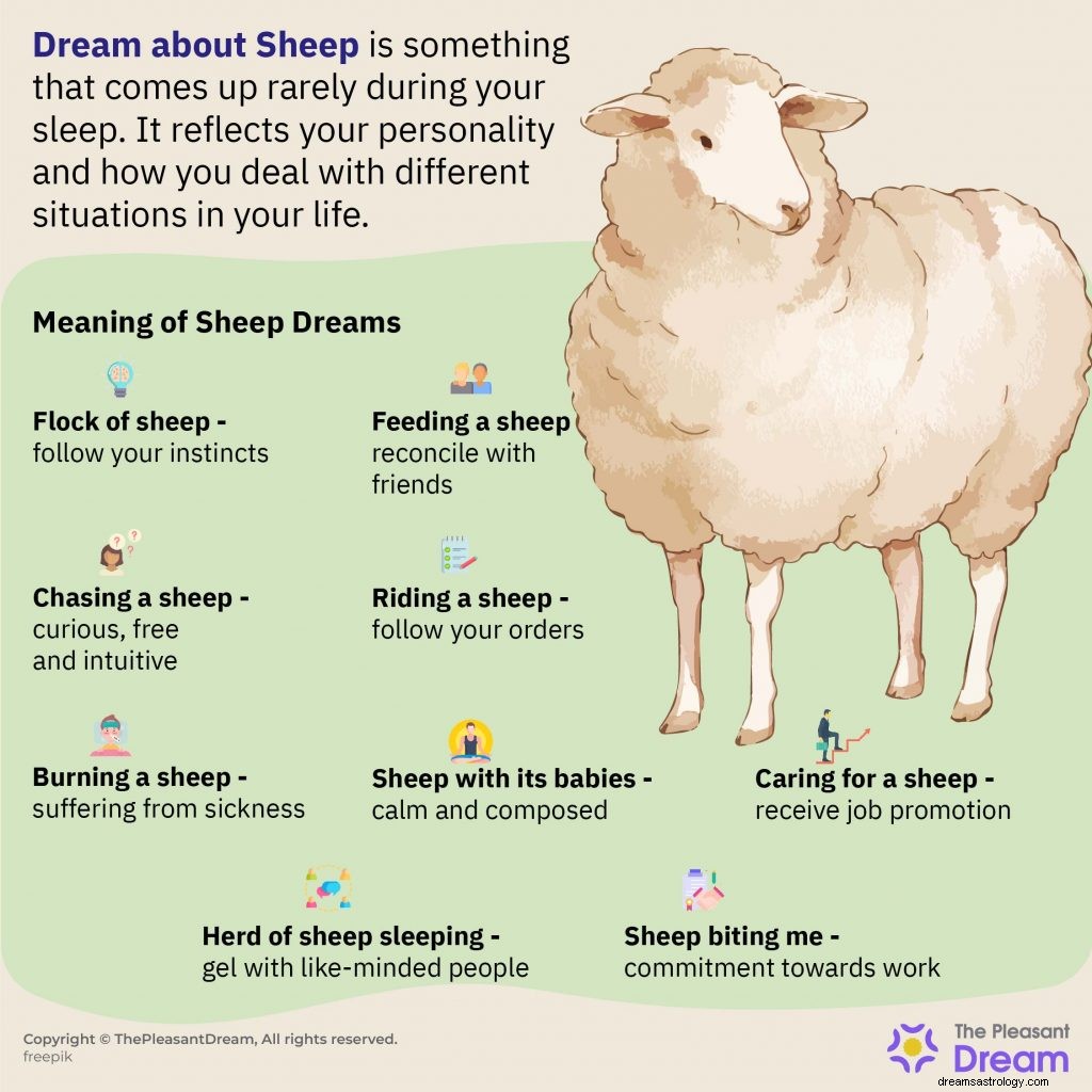 Sogna le pecore:60 tipi e significati 