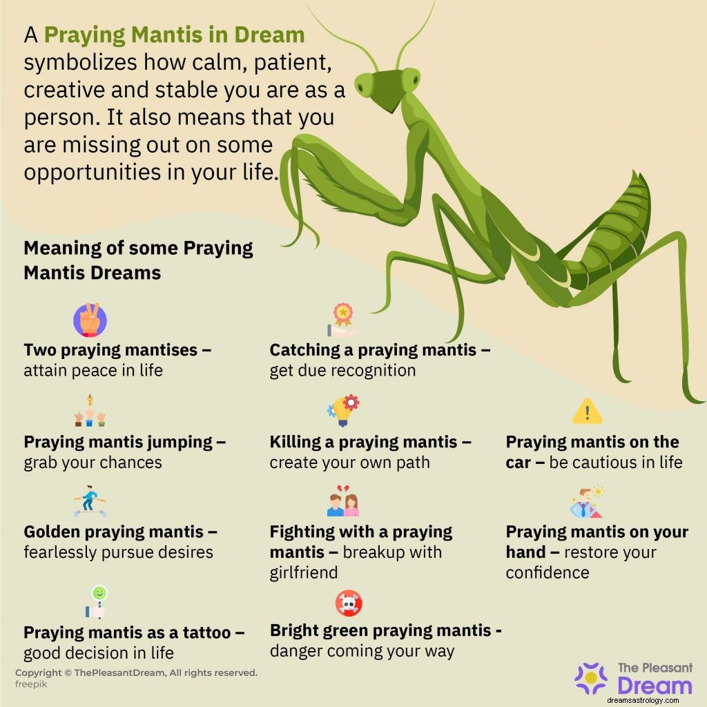 Praying Mantis in Dream – Sjekk ut disse 48 scenariene 