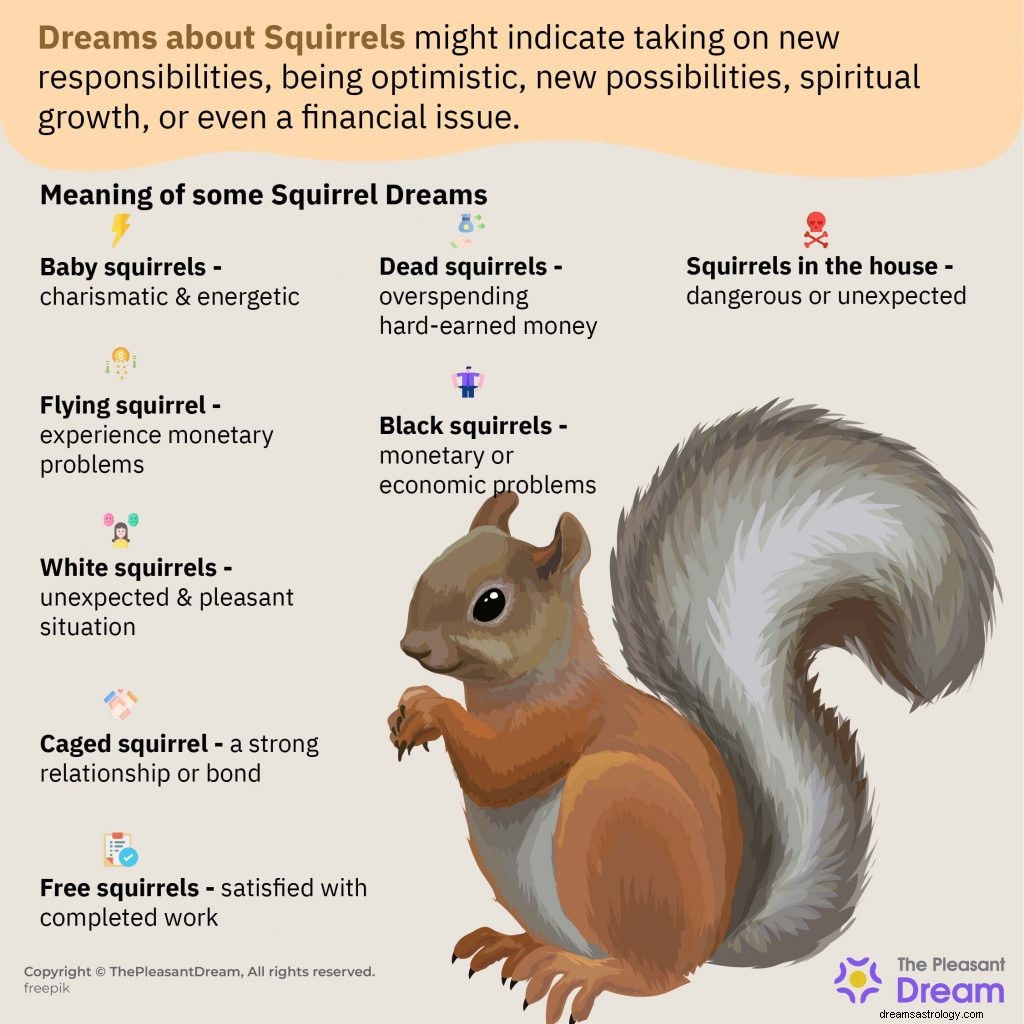 Sognare scoiattoli non implica sempre gioia e divertimento. Ecco cosa significa veramente 