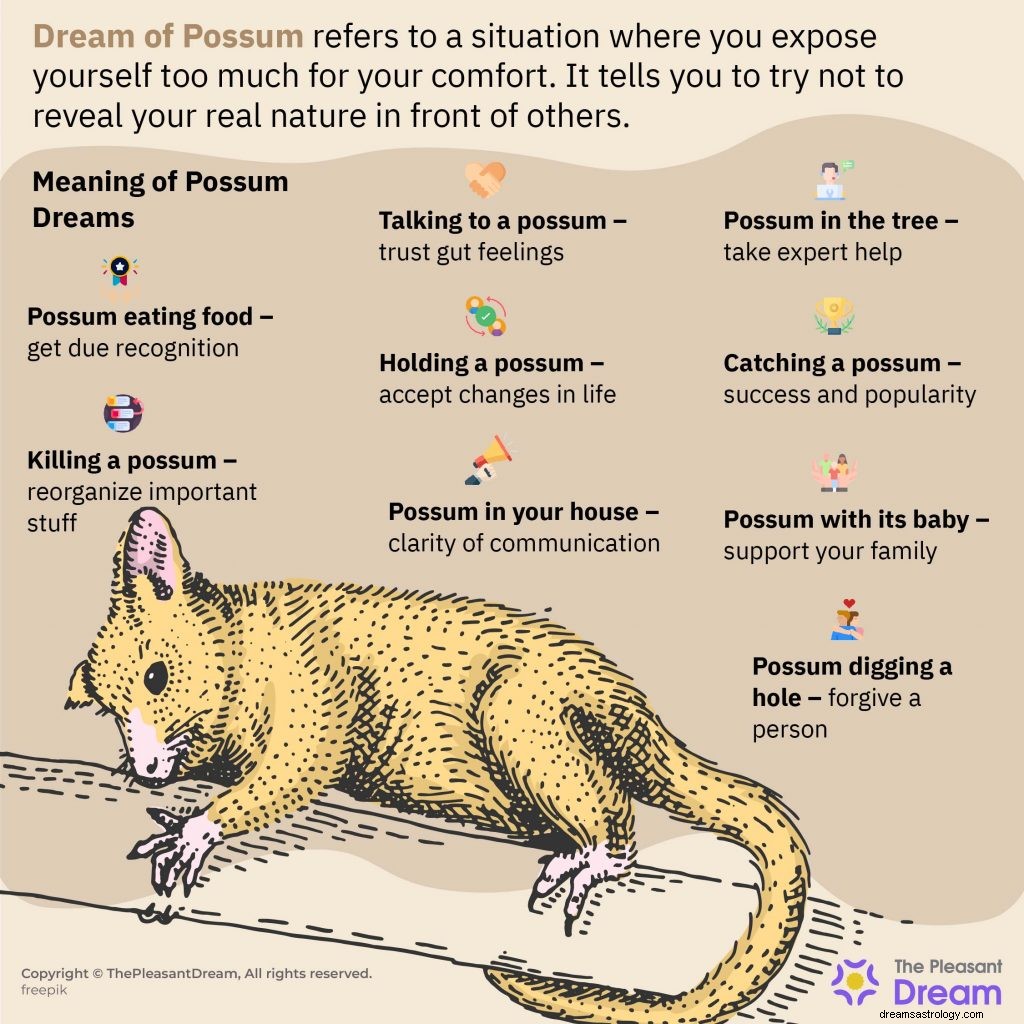 Dream of Possum - 62 intrigues et inférences 