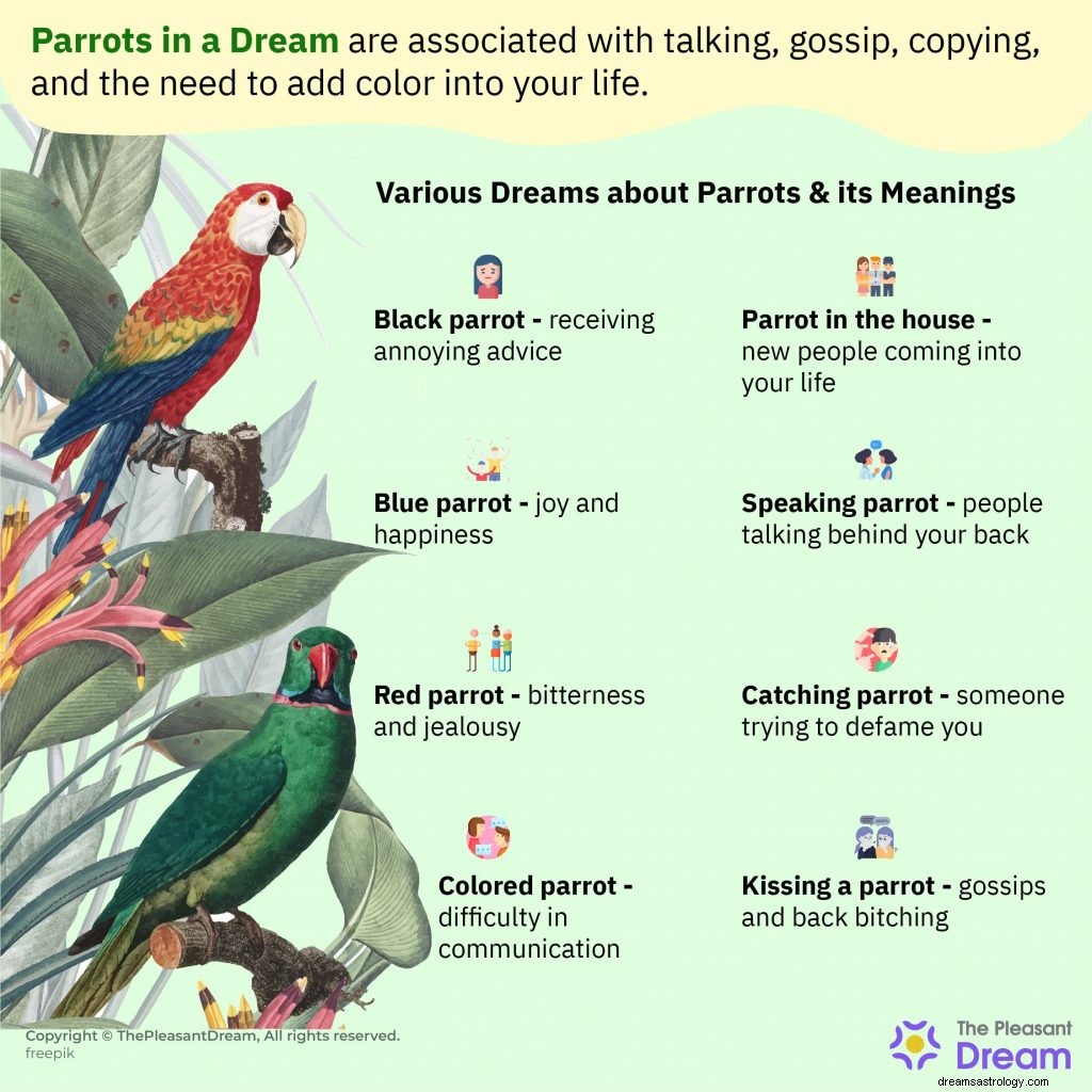 33 typer av drömmar om papegojor och deras betydelse 