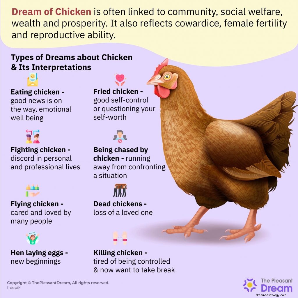 Drøm om kylling:50 typer og dens betydninger 