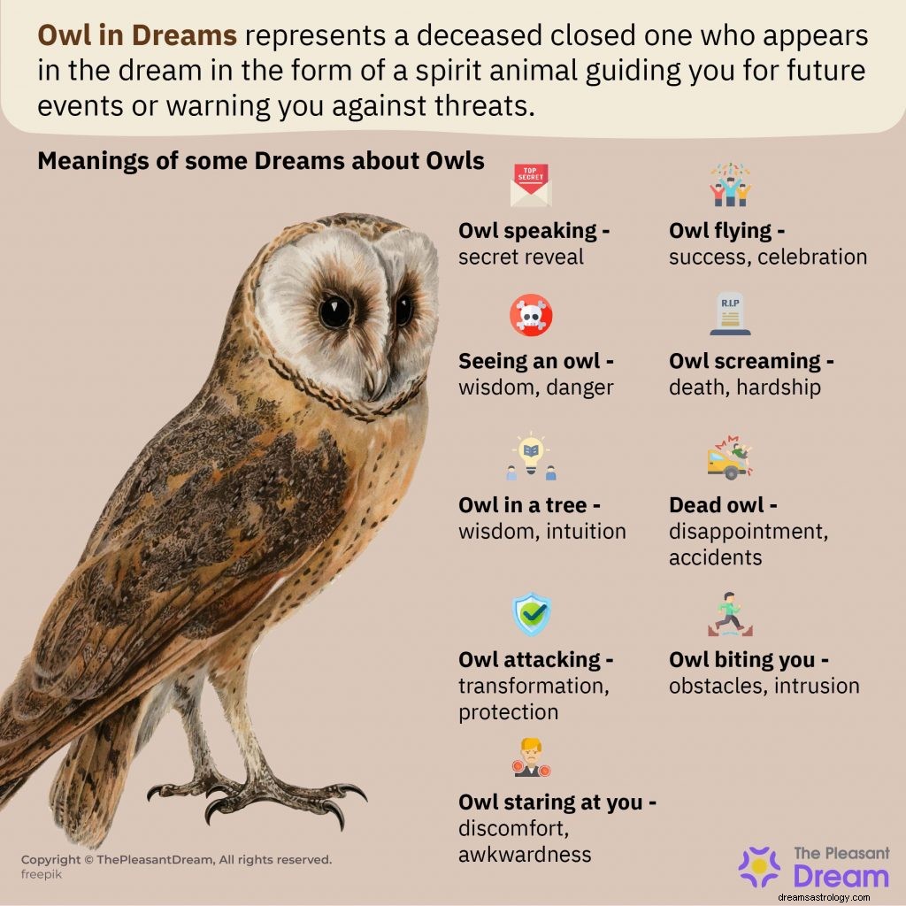 Så du en ugle i drømmer? – 52 typer drømmer forklart 