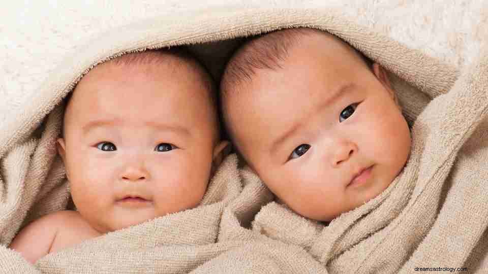 双子を持つことを夢見る–40種類とイラスト 