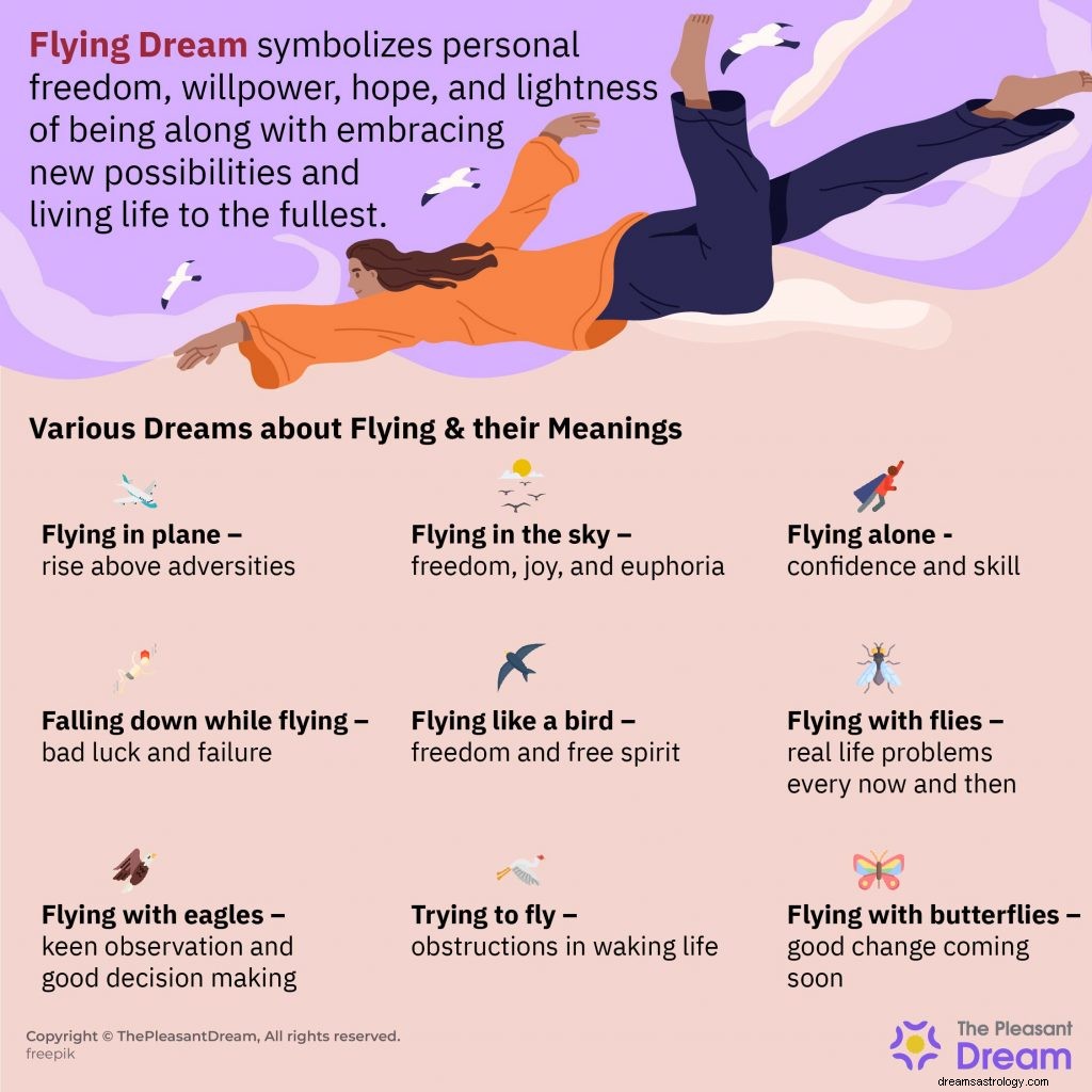 Was bedeutet fliegende Träume? (40 Typen mit Abbildungen) 