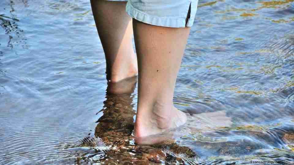 ¿Soñaste con caminar en el agua? [37 tipos de sueños explicados] 