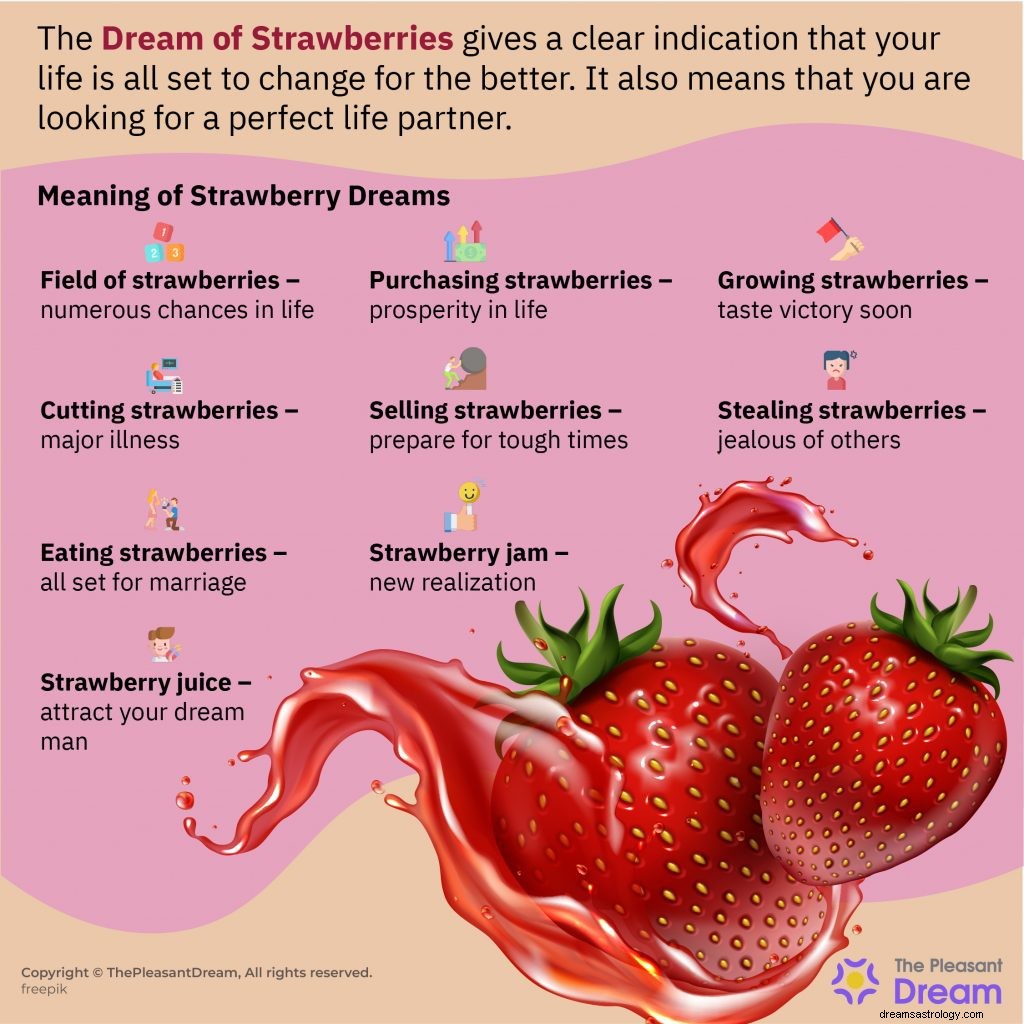Drøm om jordbær – 55 plot og fortolkninger 