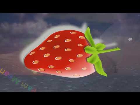 Rêve de fraises – 55 intrigues et interprétations 