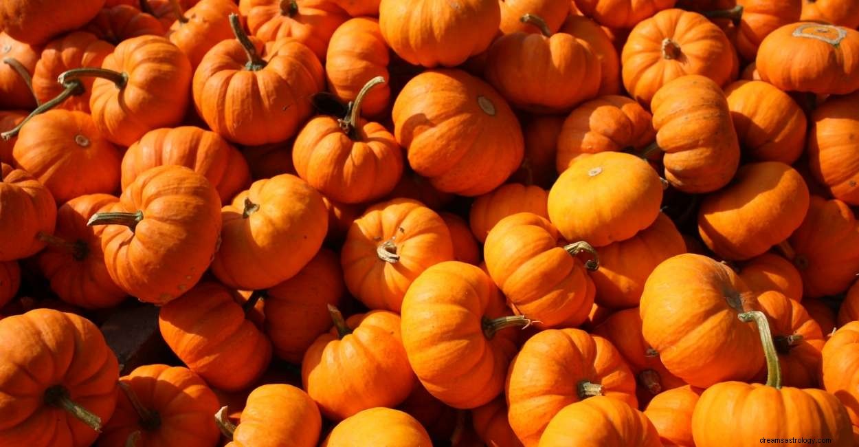 Dream About Pumpkin:102 Cara Menganalisisnya 