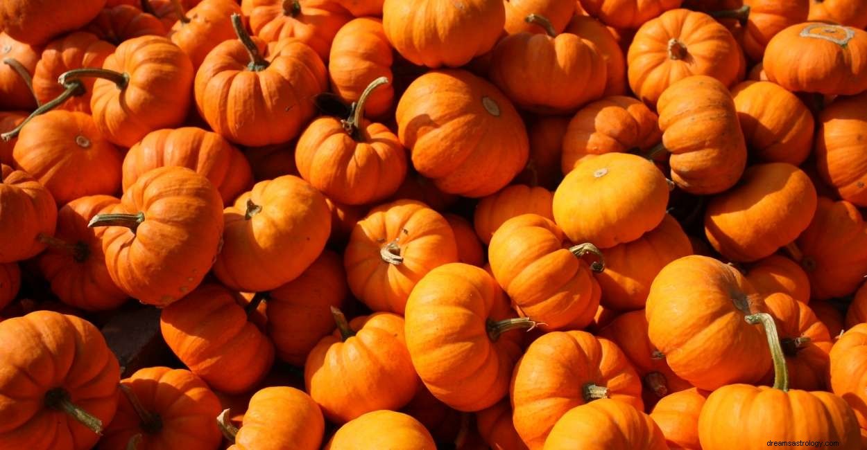 Sognare la zucca:102 modi per analizzarla 