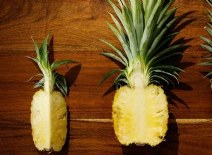 Sny o ananasu:Zkoumání významu 