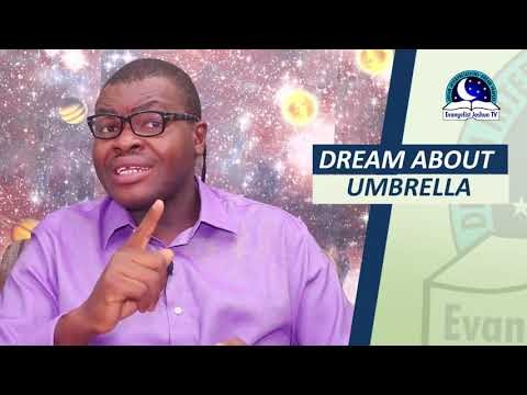 傘の夢：30の例、意味、感情的な意義 