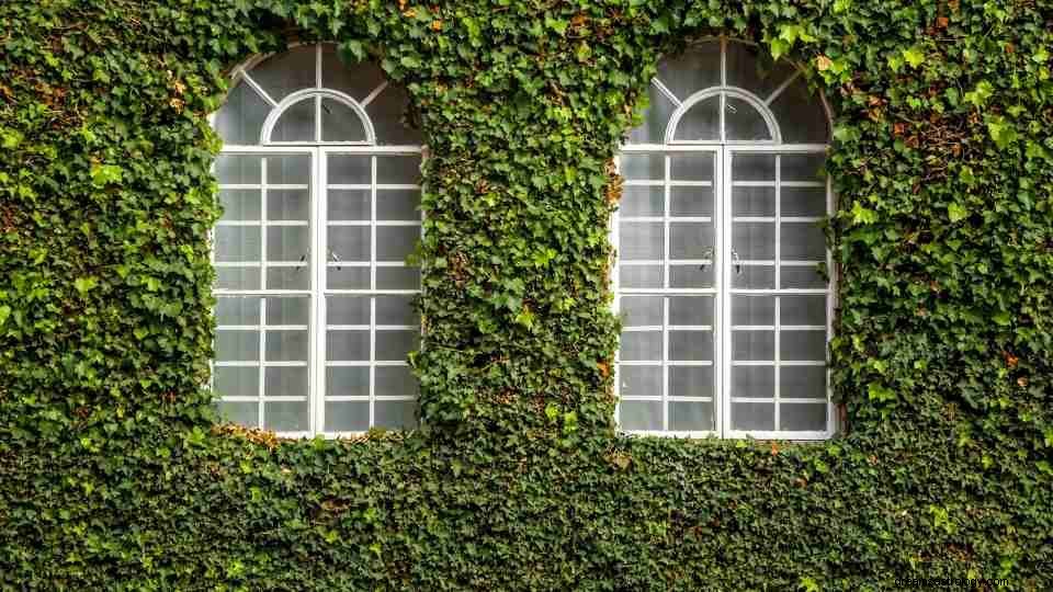 Drøm om vindu:36 typer, advarselsskilt og måter å reflektere på 
