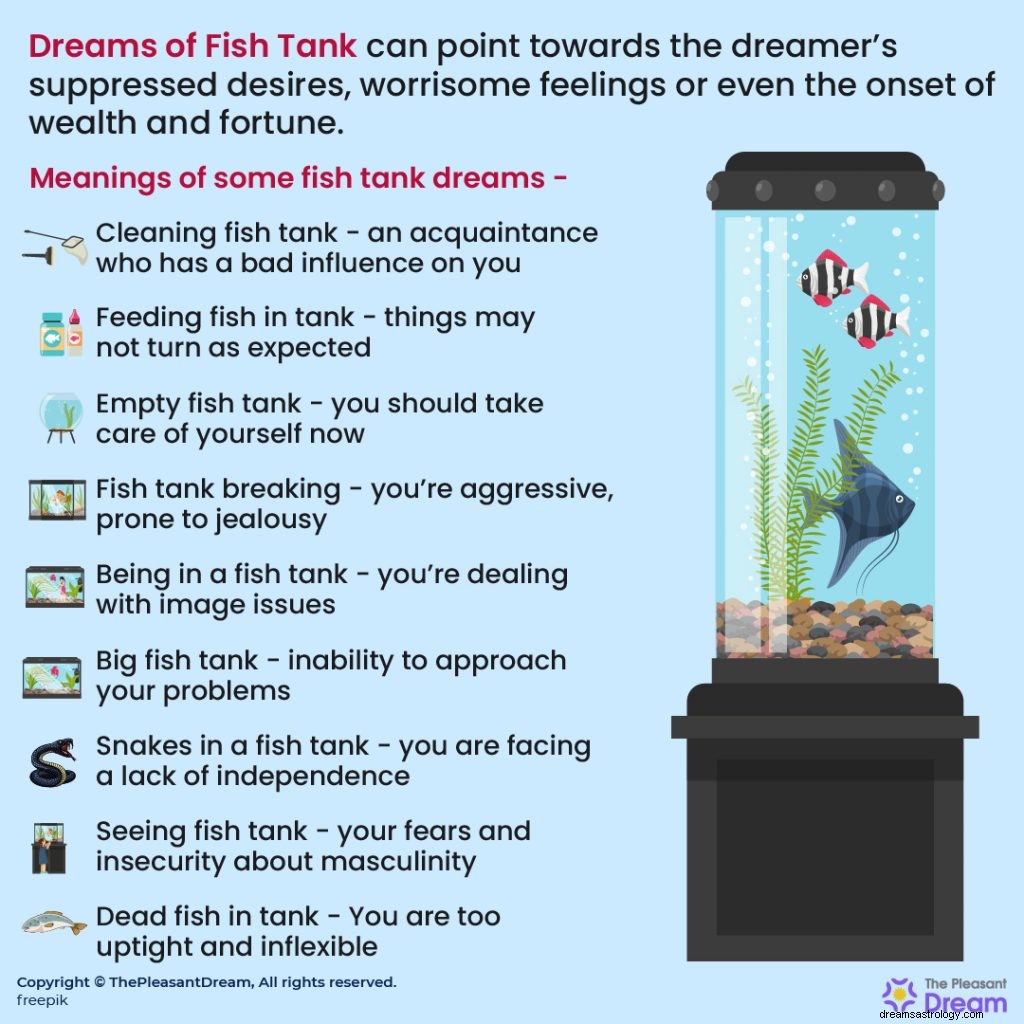 Você acordou com um sonho de aquário? Descubra o que significa 