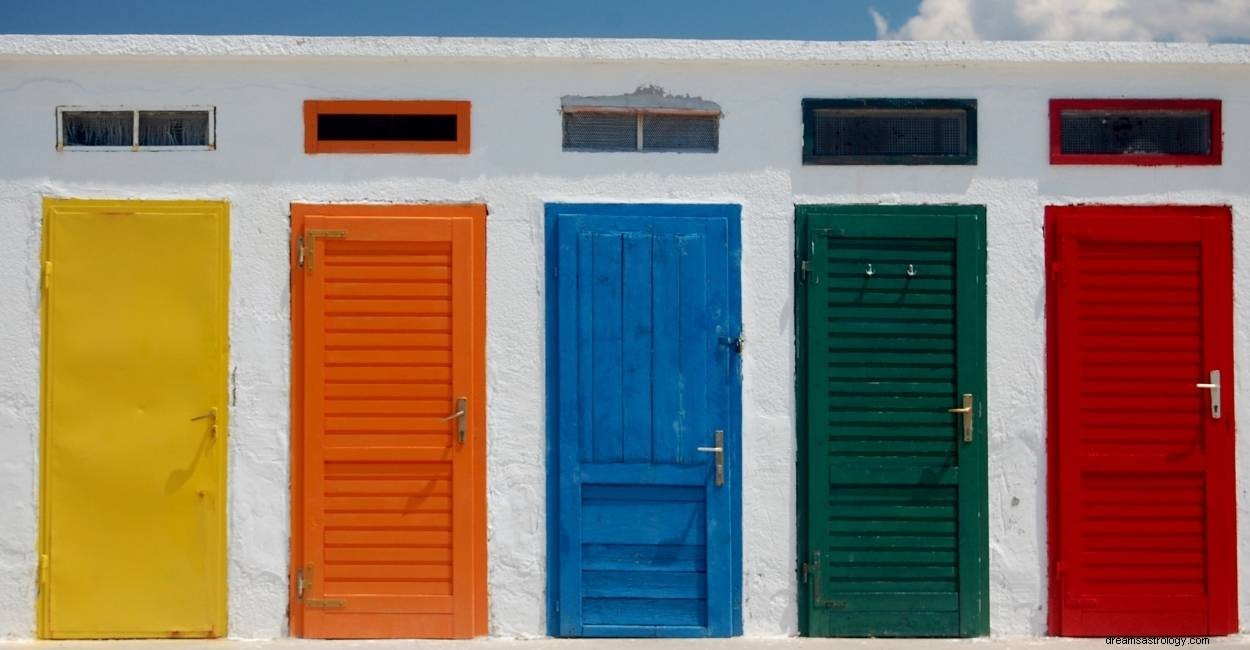 Dream about Doors:84 scenari e significati 