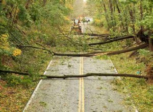 Soñar con Árbol Caído:20 Tipos de Escenarios y sus Significados 