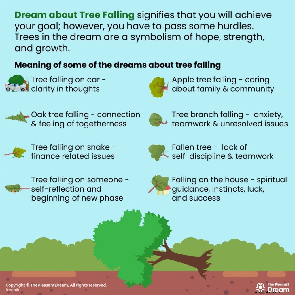 Sen o spadającym drzewie:20 rodzajów scenariuszy i ich znaczenie 