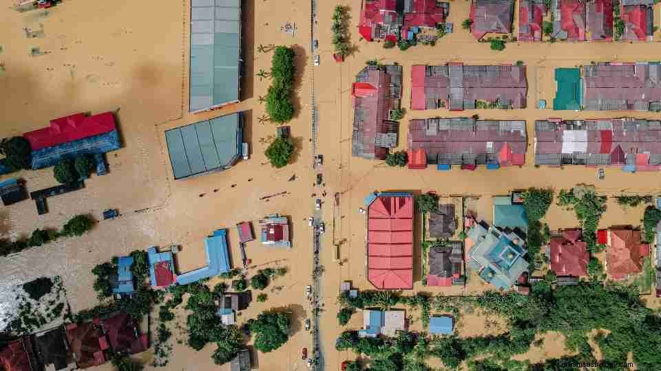 Dream of Flood – 60 τύποι και εικονογραφήσεις 