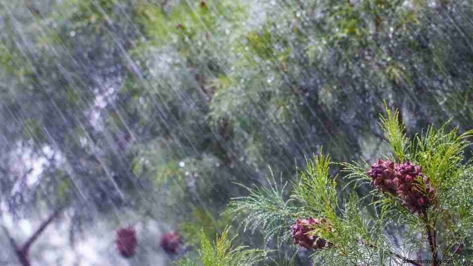 Was bedeutet es, von Regen zu träumen? (Mit 50 Typen und Abbildungen) 