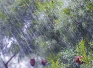 ¿Qué significa soñar con lluvia? (Con 50 tipos e ilustraciones) 