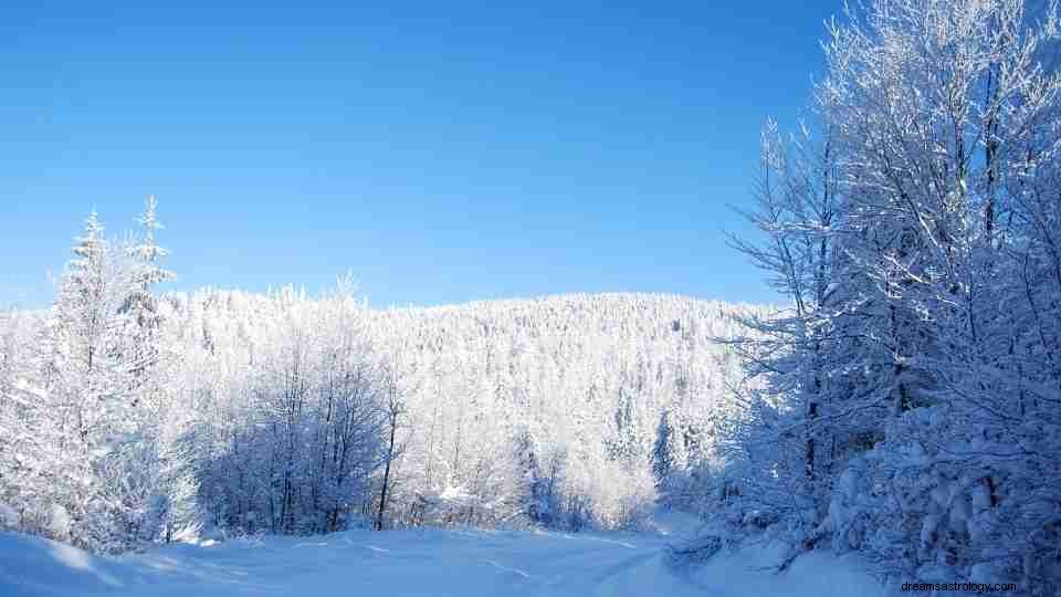 Drømmer du om snø? (55 drømmescenarier forklart) 