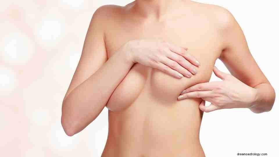 ¿Te despertaste con un Dream Boobs? Descubre lo que significa [60+ Tipos] 