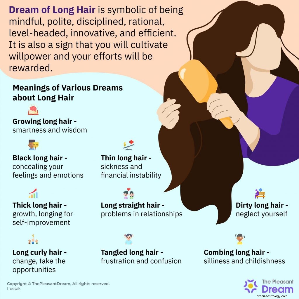 Dream of Long Hair – Panduan Lengkap 