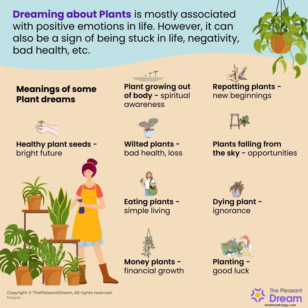 植物を夢見ていますか？それが何を意味するかを知ってください！ 