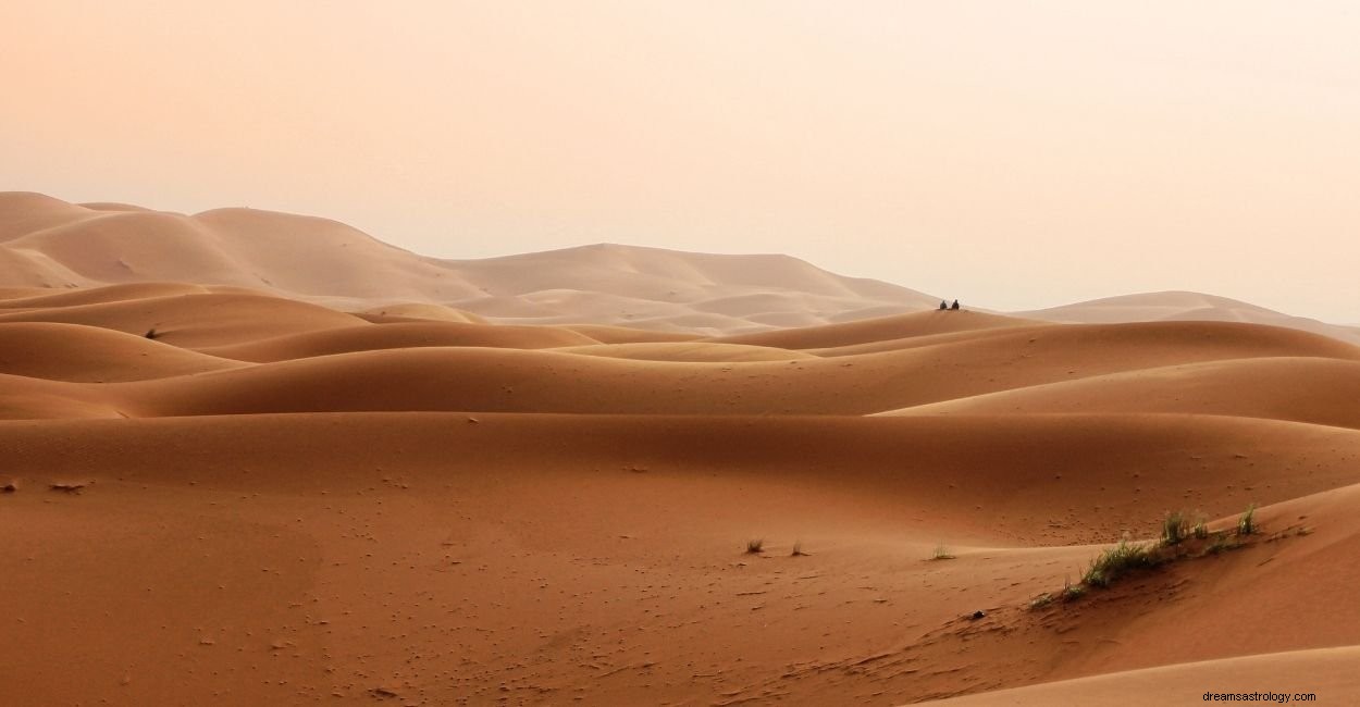 Significado do sonho do deserto - 52 tipos de enredos e inferências 