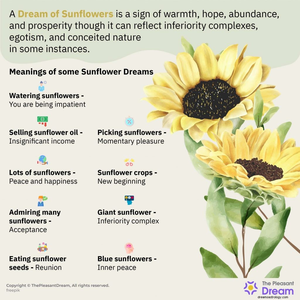 Dream Of Sunflowers:86 trame e i loro significati 