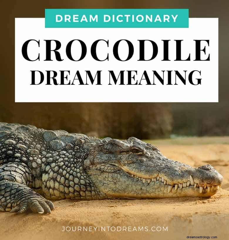 Znaczenie snu aligatora lub krokodyla 