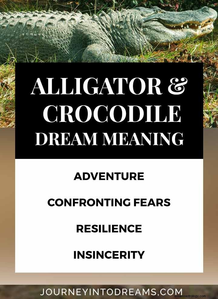 Significato del sogno di alligatore o coccodrillo 