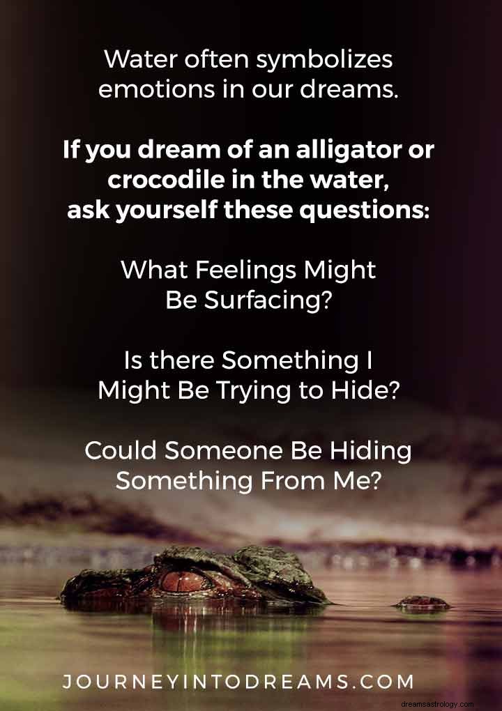 Alligator- oder Krokodil-Traumbedeutung 