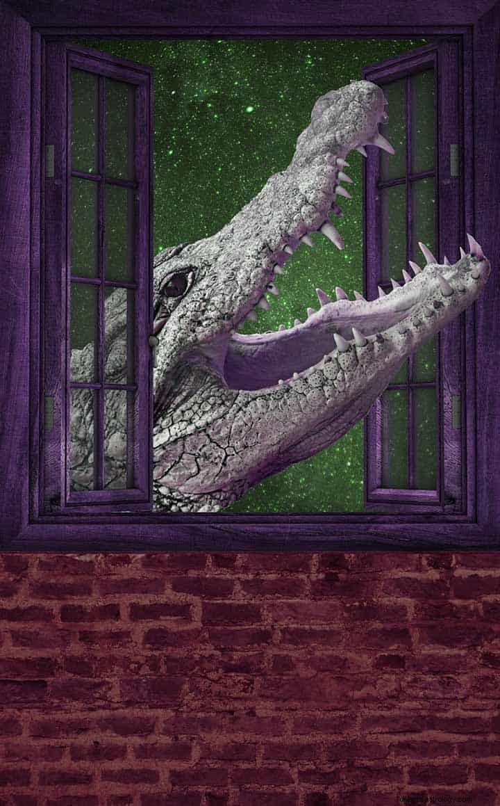 Alligator eller krokodil drömmening 
