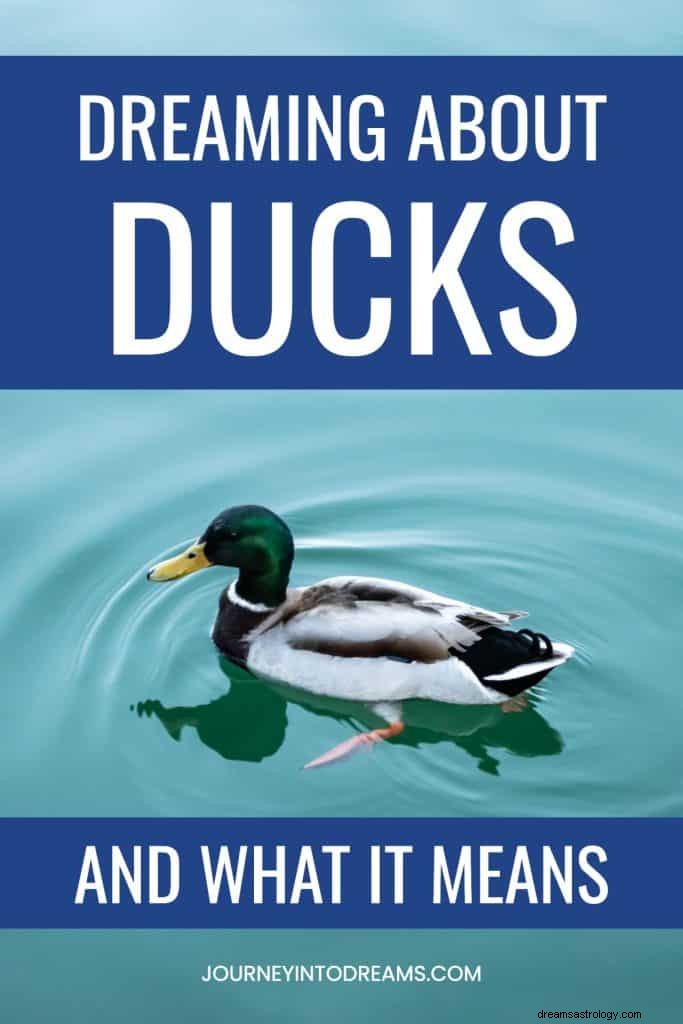 Drømmer om Ducks Meaning 