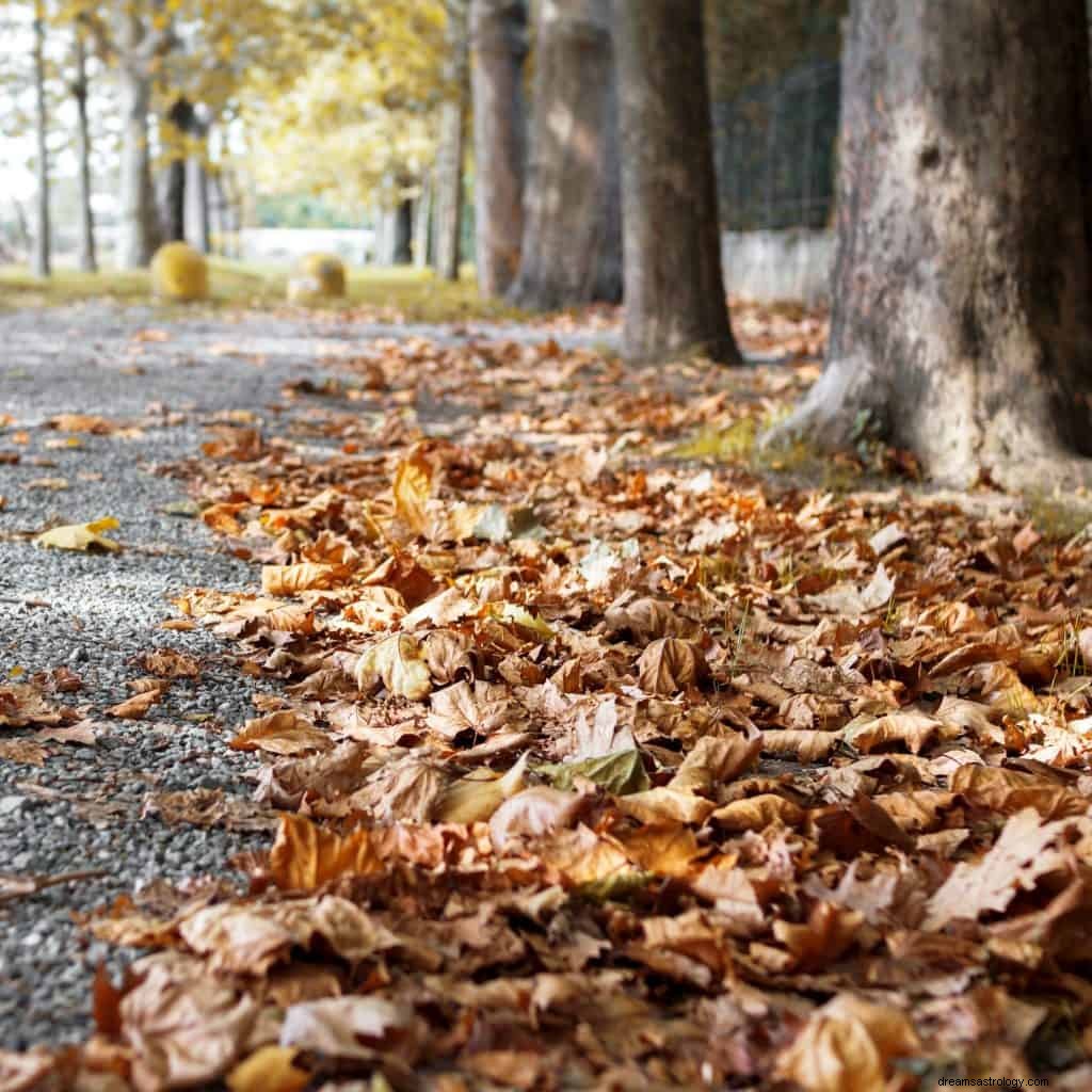 Significato di Foglie nei sogni 