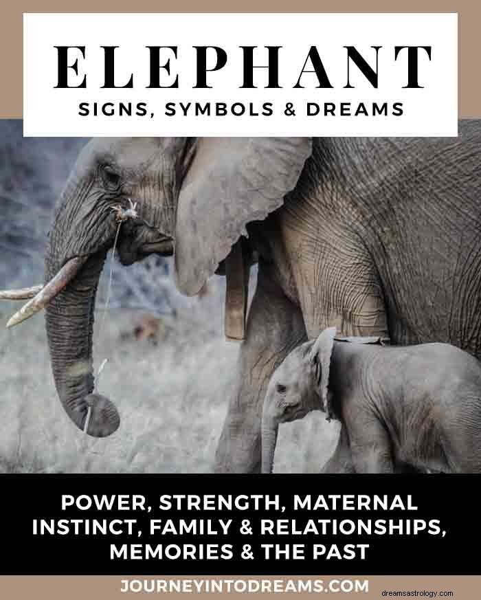 Elefantsymbol och drömmening 