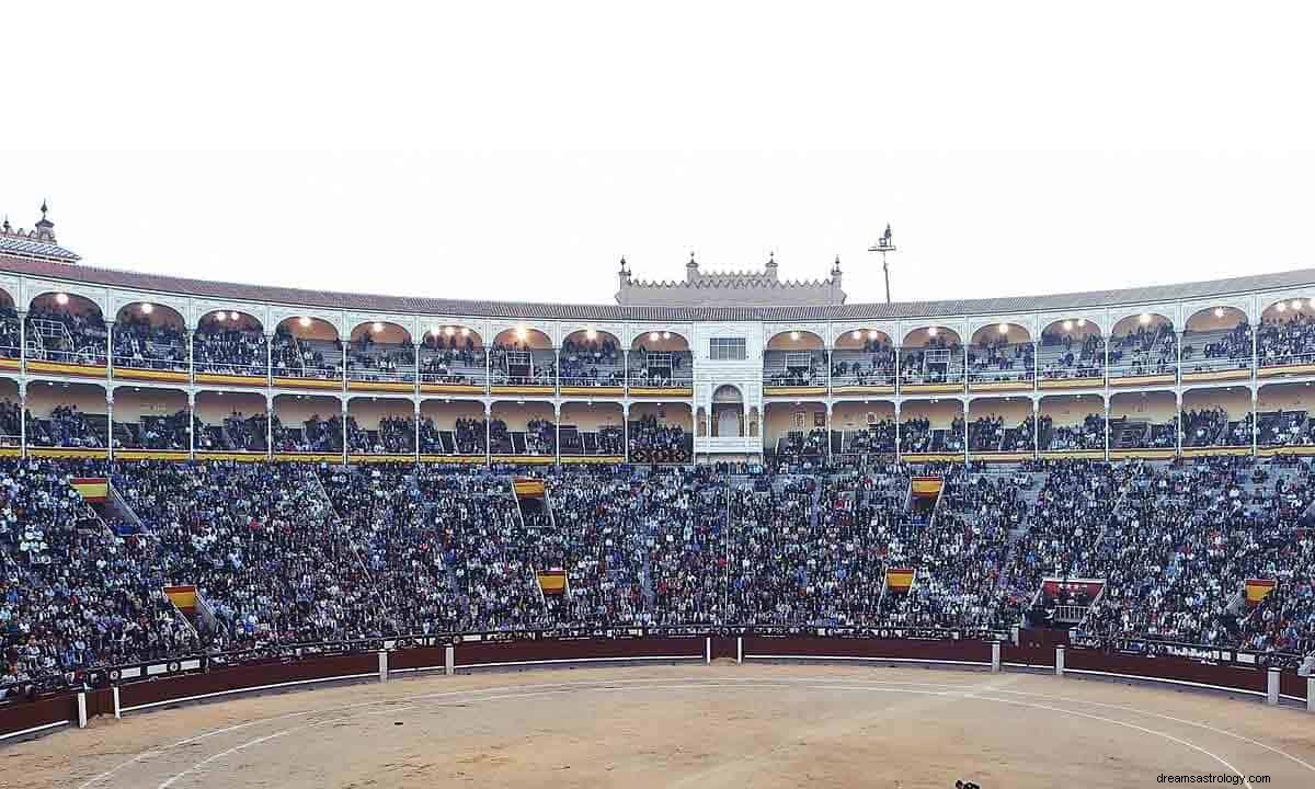 Význam symbolu Arena Dream 