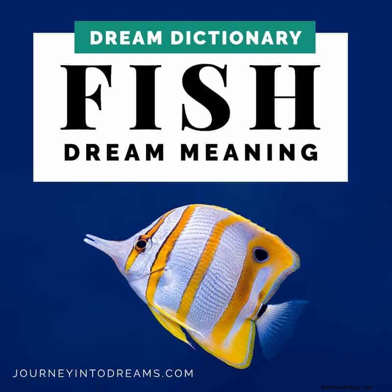 Significato dei sogni di pesce 
