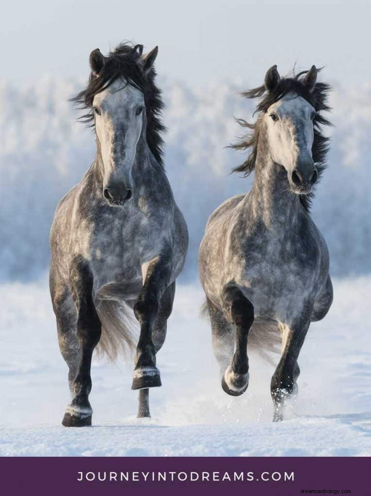 Signification du rêve de cheval 