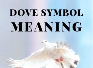 Simbolismo de la paloma y significado de la paloma 