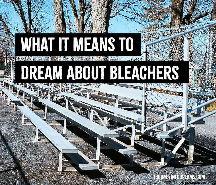 Bleachers &Tribuners Dream Meaning 